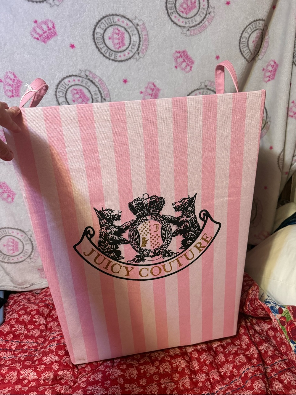 Juicy Couture Pink Striped Canvas Storage Bin
